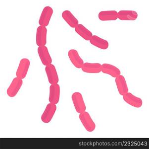 Bacilli bacteria. Pink rod cells of infection disease isolated on white background. Bacilli bacteria. Pink rod cells of infection disease