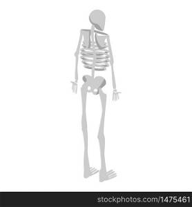 Back of human skeleton icon. Isometric of back of human skeleton vector icon for web design isolated on white background. Back of human skeleton icon, isometric style