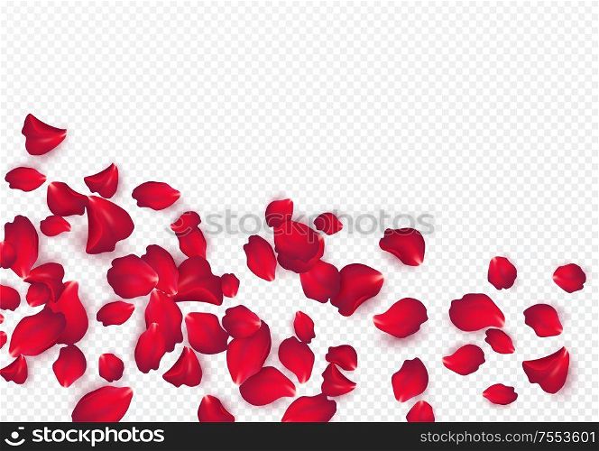 Backdrop of rose petals isolated on a transparent white background. Valentine day background. Vector illustration EPS10. Backdrop of rose petals isolated on a transparent white background. Valentine day background. Vector illustration