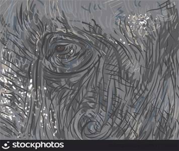 Background and texture of elephant face-vector