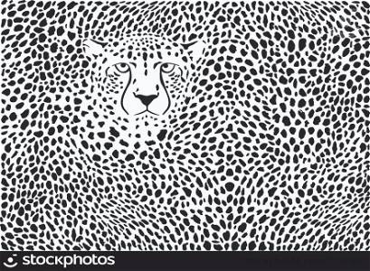 Background cheetah skins and head