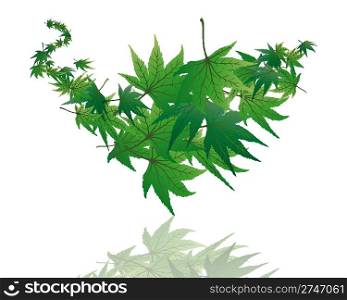 Background frame from maple leaves. Vector illustration.