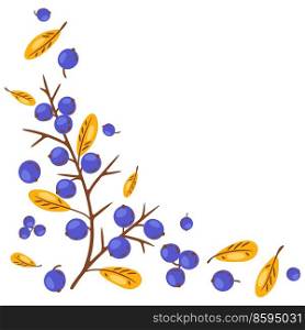 Background from thorn branch with berries. Image of seasonal autumn plant.. Background from horn branch with berries. Image of autumn plant.