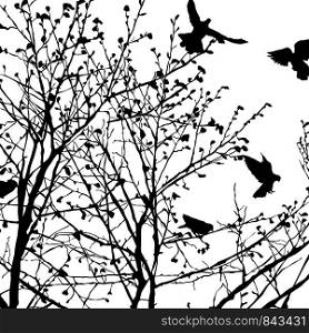 Background illustration with pigeons silhouettes in the trees, vector