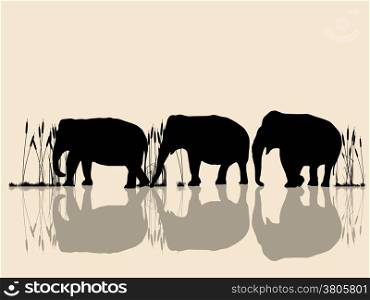 Background illustration with wild elephants in the water