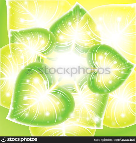 Background leaf vector