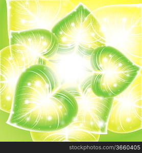 Background leaf vector