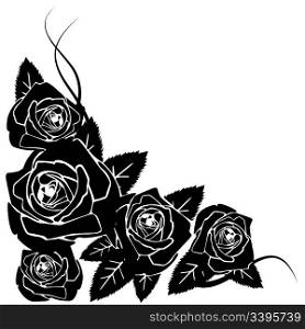 Background made from black roses