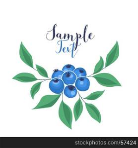 Background of blueberries fruit. Vector illustration of a greeting card with blueberries and leaves