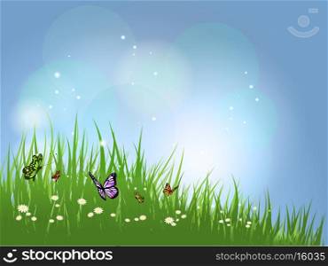 Background of butterflies flying in grass on daisies