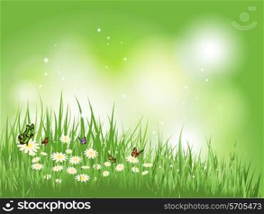 Background of butterflies flying in grass on daisies