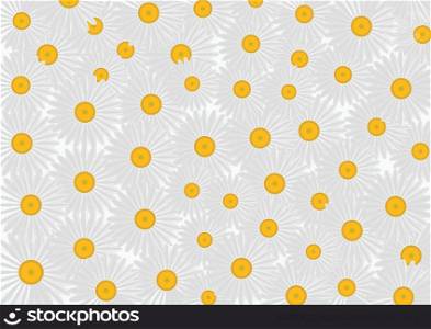 Background of daisies