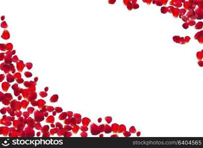 Background of Naturalistic Rose Petals. Vector Illustration. EPS10. Background of Naturalistic Rose Petals. Vector Illustration