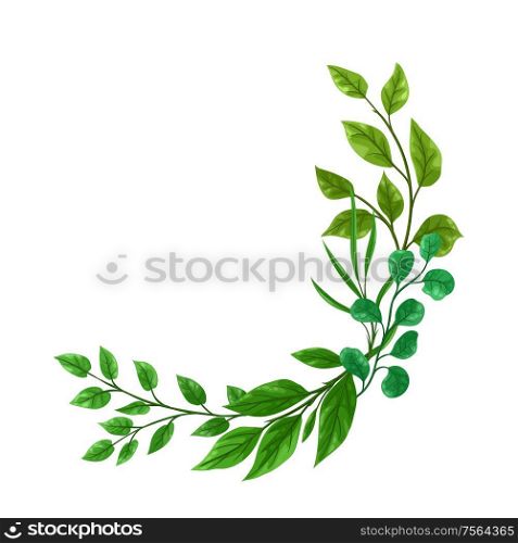 Background of sprigs with green leaves. Decorative natural plants.. Background of sprigs with green leaves.