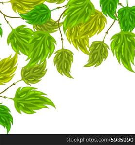 Background of stylized green leaves for greeting cards. Background of stylized green leaves for greeting cards.