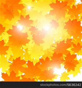 Background on autumn theme, maple leaves falling. Vector illustration.