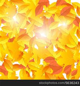 Background on autumn theme of falling yellow and orange leaves. Vector illustration.