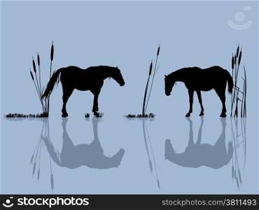 Background romantic illustration with horses at the water