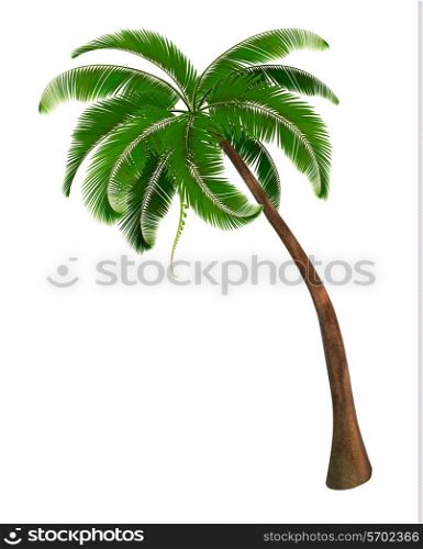 Background with a palm tree. Vector illustration