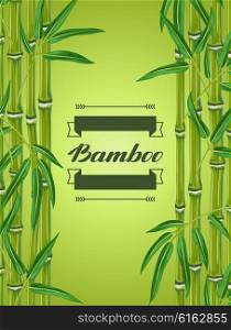 Background with bamboo plants and leaves. Image for holiday invitations, greeting cards, posters, advertising booklets, banners, flayers.