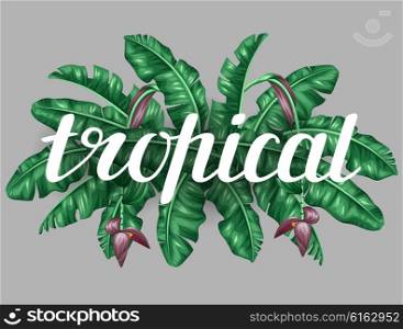 Background with banana leaves. Decorative image of tropical foliage, flowers and fruits. Design for advertising booklets, banners, flayers, cards, textile printing.