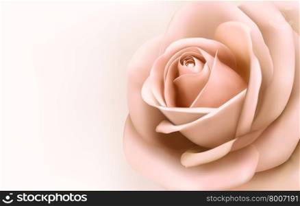 Background with beautiful pink rose. Vector