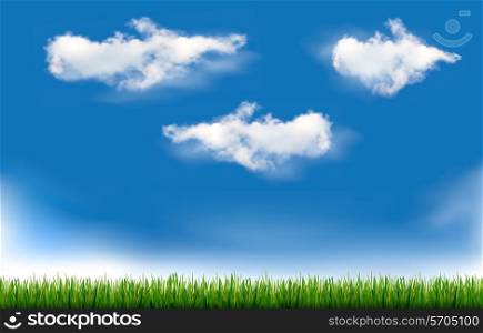 Background with blue sky and grass. Vector.