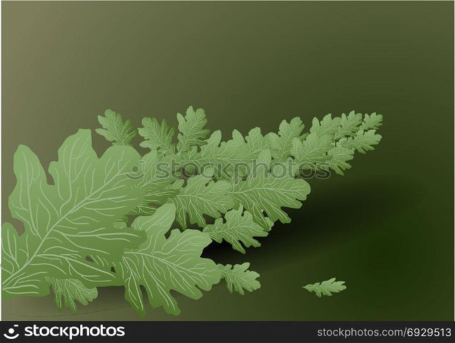 background with branch of green oak leaves.