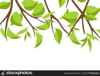 Background with branches and green leaves. Spring or summer twigs. Natural image.. Background with branches and green leaves. Spring or summer twigs.