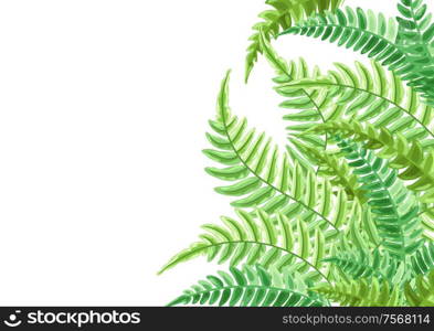 Background with fern leaves. Natural tropical forest plants.. Background with fern leaves.