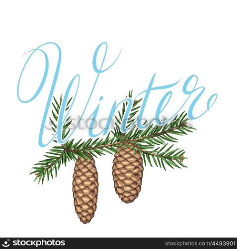 Background with fir branches and cones. Detailed vintage illustration. Background with fir branches and cones. Detailed vintage illustration.