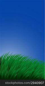 Background with grass and sky