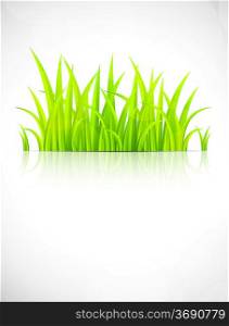 Background with green grass. Abstract spring illustration