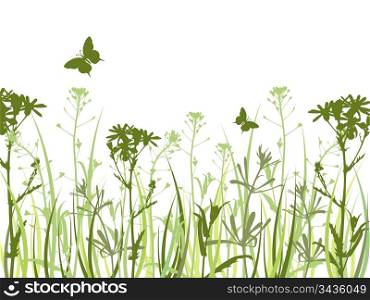 Background with green grass, chamomile flowers and butterfly