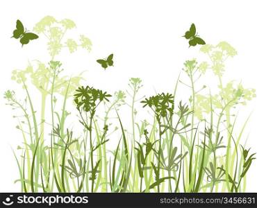 background with green grass, chamomile flowers and butterfly