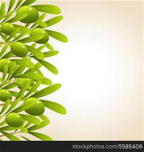 Background with green olive branches