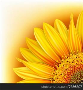 Background with half of the yellow sunflower. Mesh. Clipping Mask