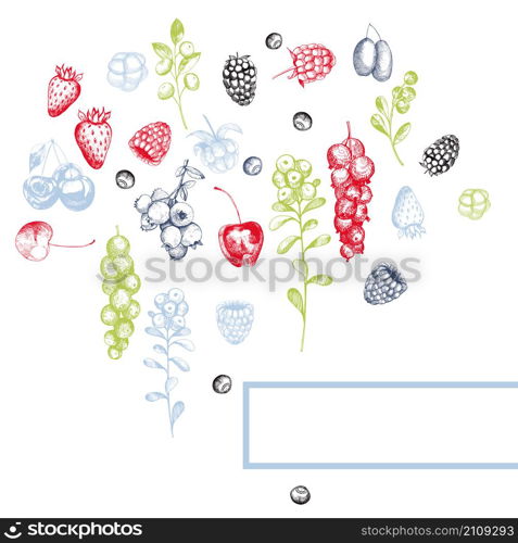 Background with hand-drawn berries. Vector illustration.. Background with hand-drawn berries.