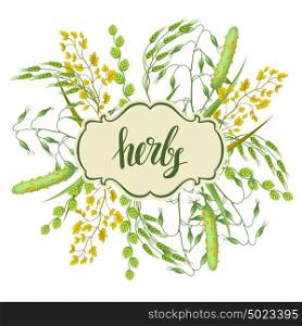 Background with herbs and cereal grass. Floral design of meadow plants. Background with herbs and cereal grass. Floral design of meadow plants.