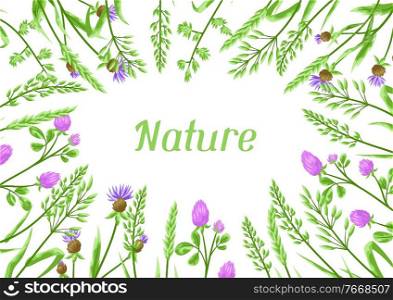 Background with herbs and cereal grass. Floral design of meadow plants.. Background with herbs and cereal grass.