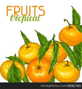 Background with mandarins. Tropical fruits and leaves. Background with mandarins. Tropical fruits and leaves.