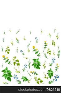 Background with meadow flowers. Herbs and cereal grass. Beautiful decorative spring plants. Natural illustration.. Background with meadow flowers. Herbs and cereal grass. Beautiful decorative spring plants.