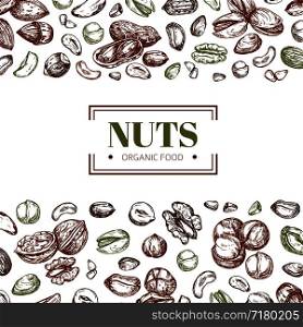 Background with nuts. Cashew and walnut, pistachio and hazelnut organic food vector poster template. Illustration of pistachio and cashew, organic almond and hazelnut. Background with nuts. Cashew and walnut, pistachio and hazelnut organic food vector poster template