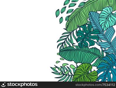 Background with palm leaves. Decorative image of tropical foliage and plants.. Background with palm leaves.