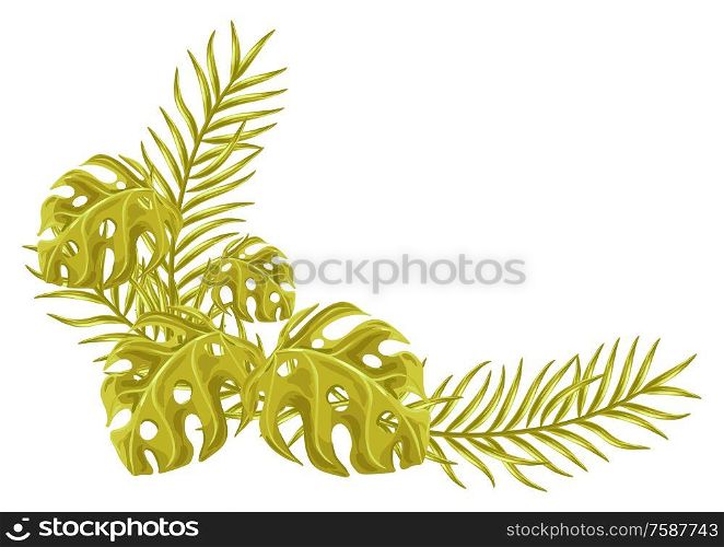 Background with palm leaves. Decorative image of tropical foliage and plants.. Background with palm leaves.