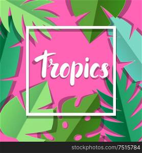 Background with paper palm leaves. Decorative image of tropical foliage and plants.. Background with paper palm leaves.