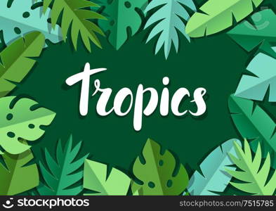 Background with paper palm leaves. Decorative image of tropical foliage and plants.. Background with paper palm leaves.