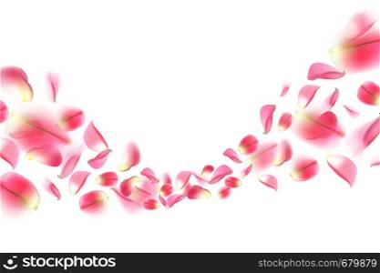 Background with realistic flying rose petals. Pink rose petals isolated on white background