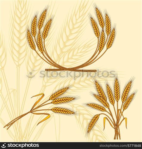 Background with ripe yellow wheat ears.. Background with ripe yellow wheat ears