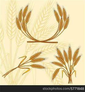 Background with ripe yellow wheat ears.. Background with ripe yellow wheat ears